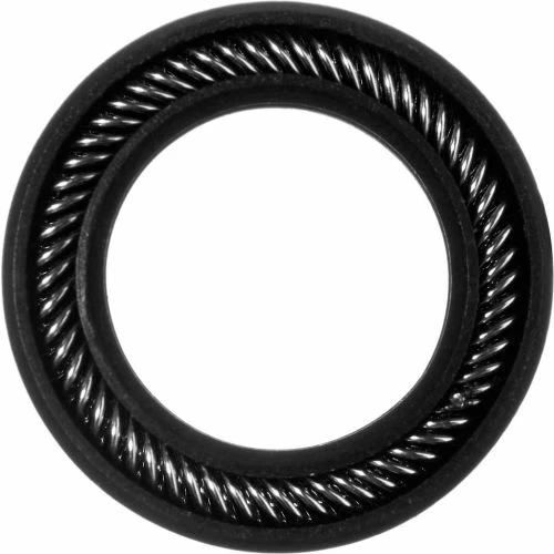 USA Sealing Graphite Filled PTFE Spring Energized Rod Seal for .25" Rod or .375" Piston Bore 1 USA Sealing Graphite Filled PTFE Spring Energized Rod Seal for .25" Rod or .375" Piston Bore